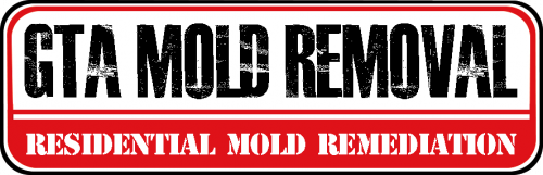 Company Logo For GTA Mold Removal Mississauga'