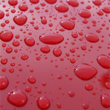 Car Detailing Service'