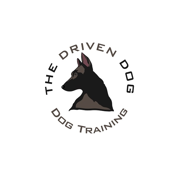 Dog Trainer Long Beach'