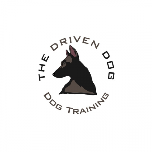 Dog Trainer Long Beach'