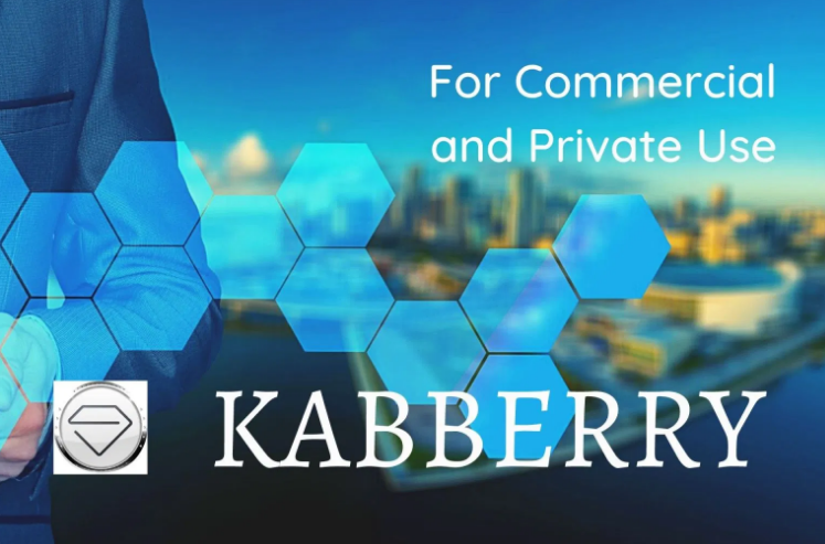 Popularising Blockchain and Cryptocurrencies For Commercial