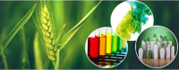 Bio-based Chemicals Market To Witness Huge Growth With Proje