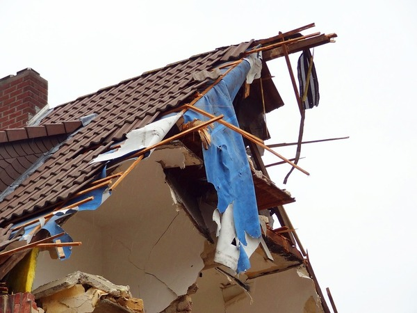 Loss Adjuster'