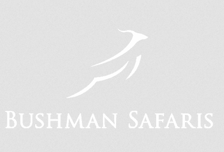 Bushman Safaris Logo