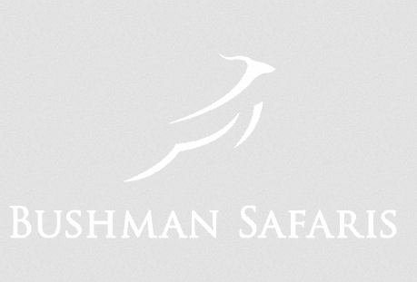 Bushman Safaris
