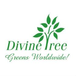 Company Logo For Divine Tree Limited'