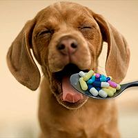 Pet Medicine Market to See Huge Growth by 2026 : Zoetis, Mer