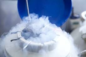 Egg Freezing Service Market