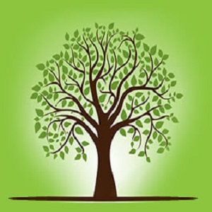 Company Logo For Tree Service of Charlottesville'