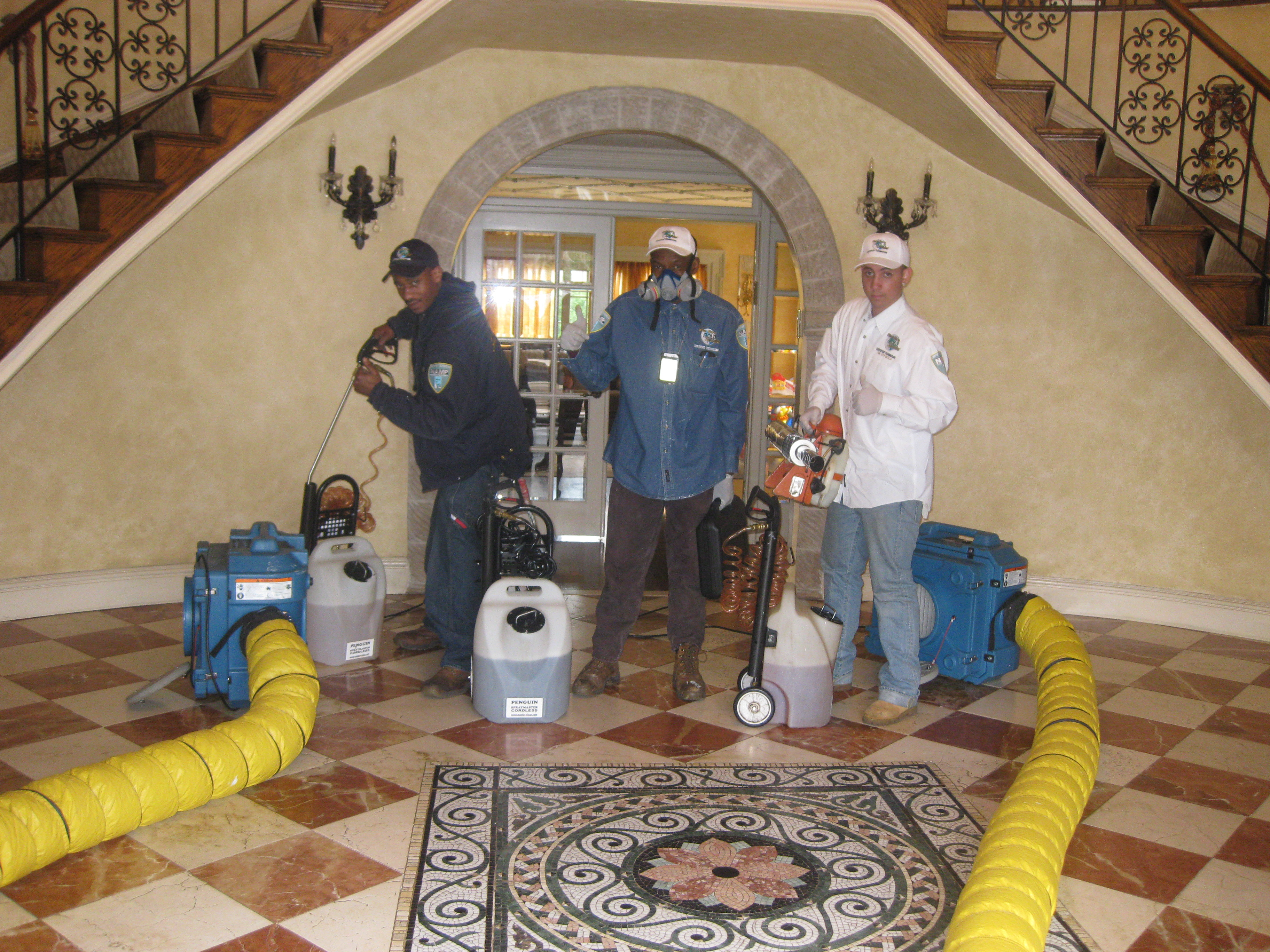 NYC Mold Inspection Services