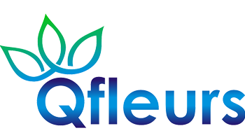 Qfleurs.fr - Online Gifts Shop Logo