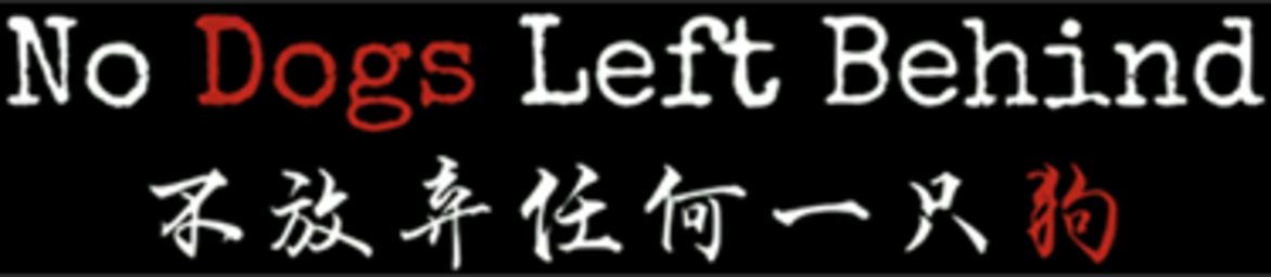 No Dogs Left Behind