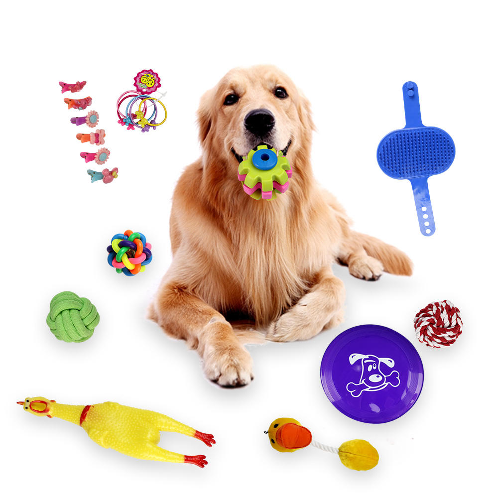 Pet Toys
