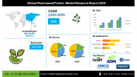 Global Plant-Based Protein Market Assessment