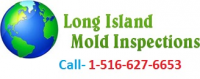 Long Island Mold Removal