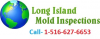 Long Island Mold Removal'
