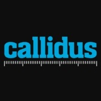 Company Logo For Callidus Surveys'