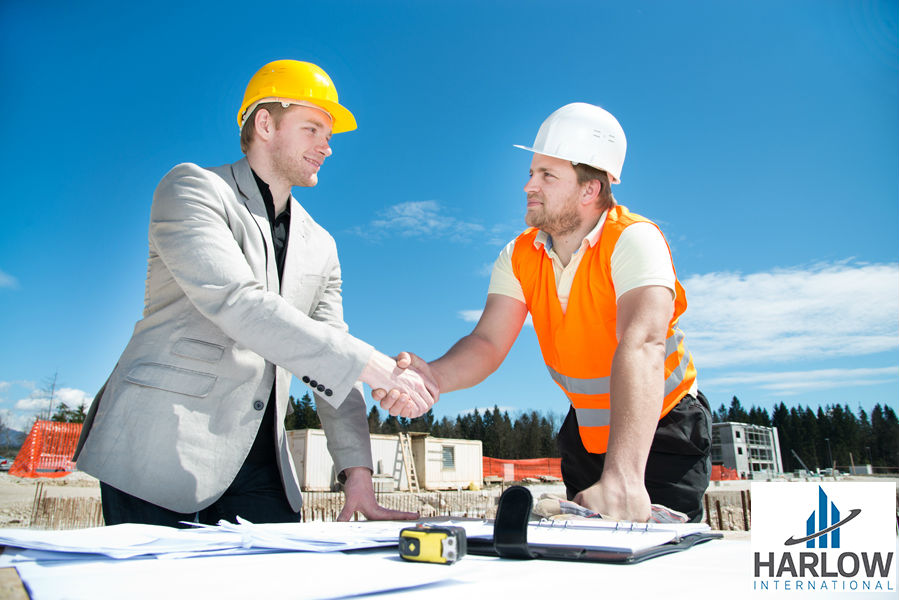 Harlow International3'