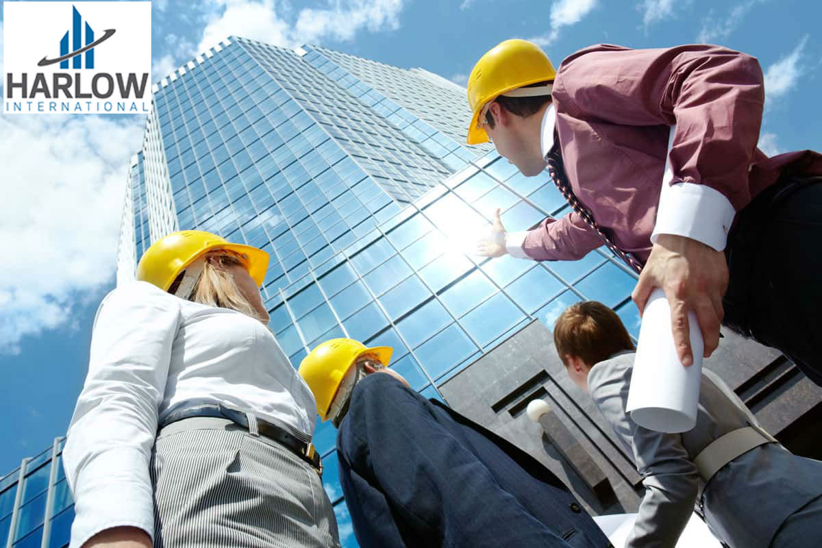 Harlow International6'