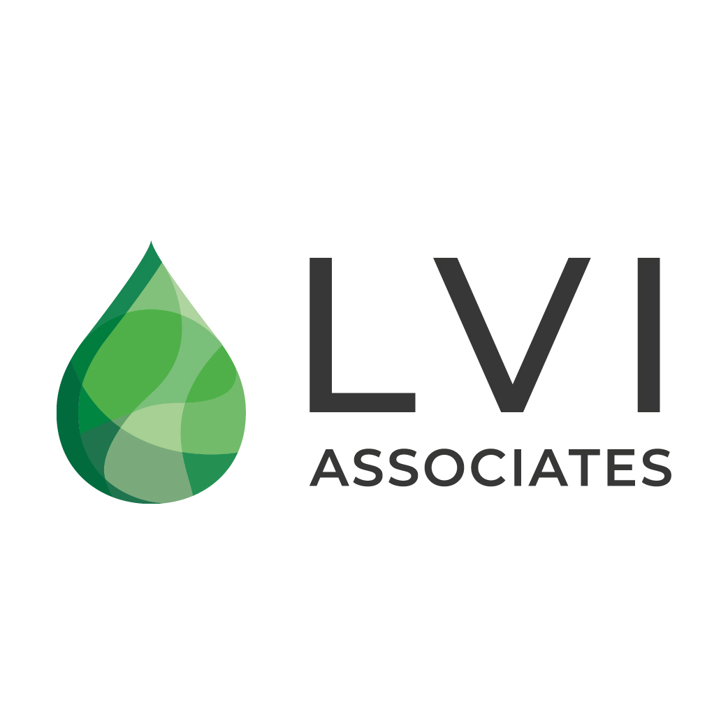 LVI Associates Logo