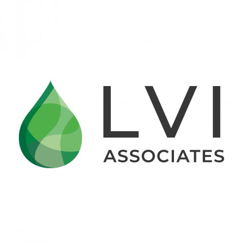 Company Logo For LVI Associates'