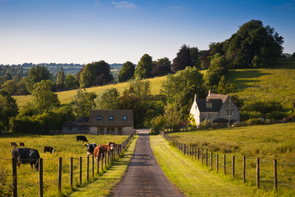 Agritourism Market
