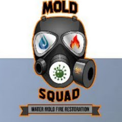 Company Logo For Mold Squad'