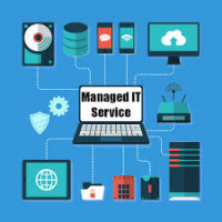Managed Information Services