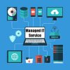 Managed Information Services'