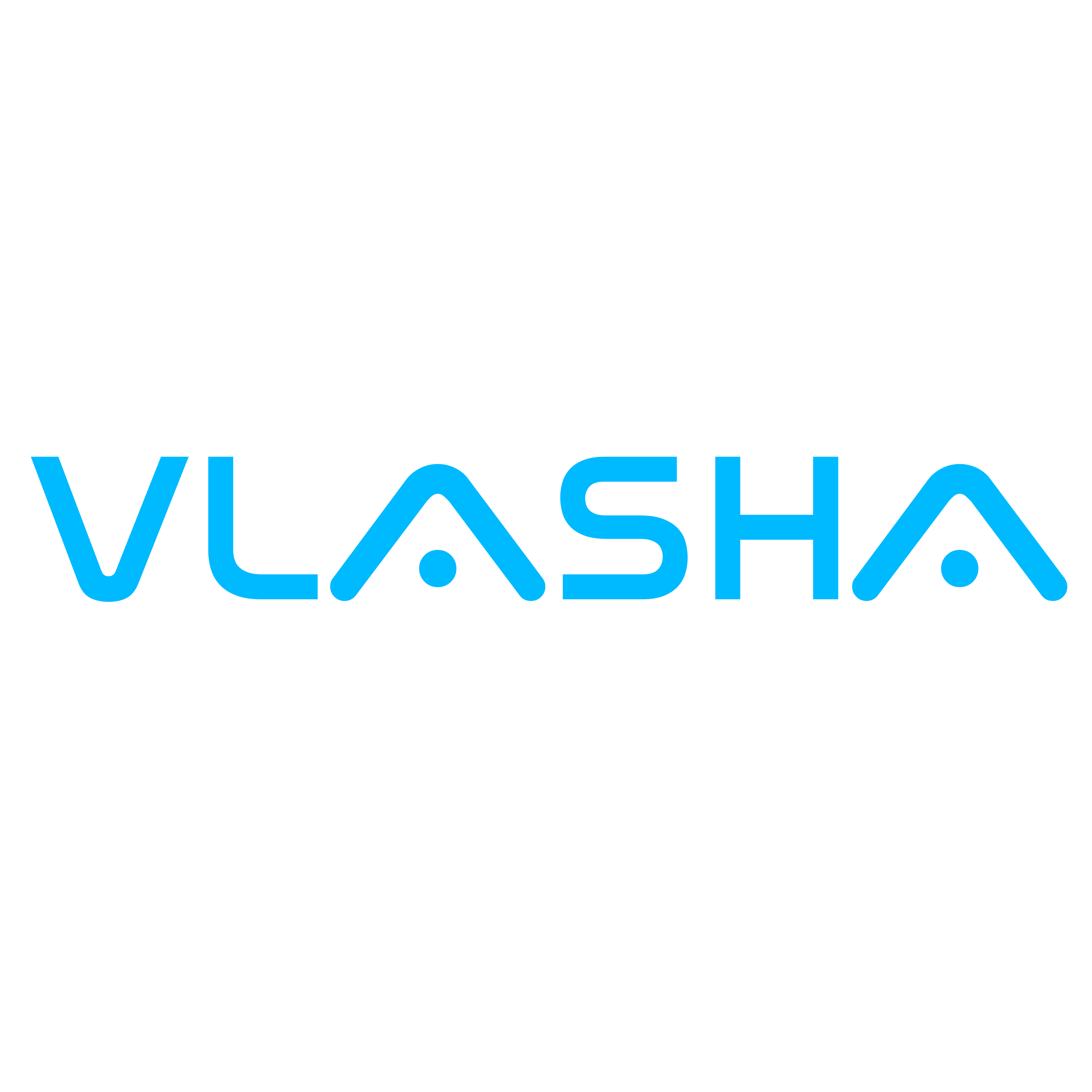 Company Logo For Vlasha Enterprise'