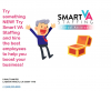 Try Smart VA Staffing Agency'