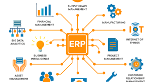 Enterprise Resource Planning (ERP) Software'