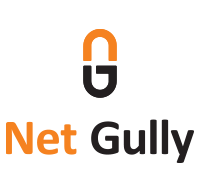 Company Logo For Net Gully'