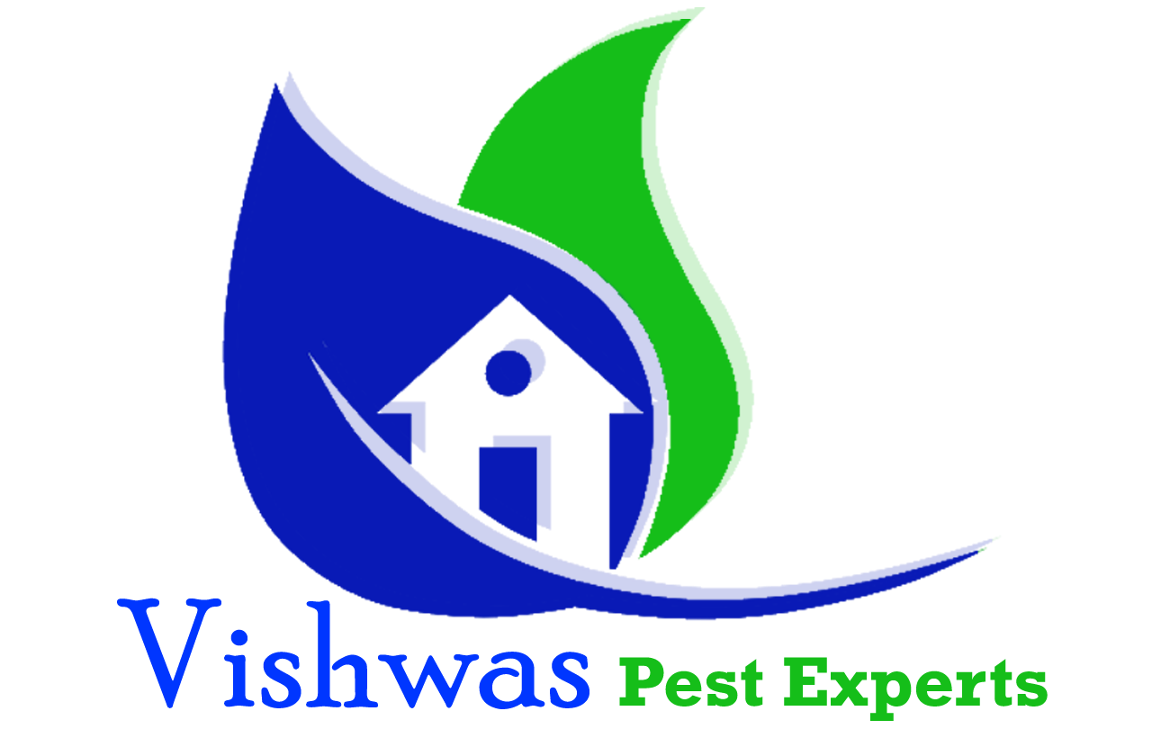 Pest Control in Bangalore | Disinfection and Sanitization Se'