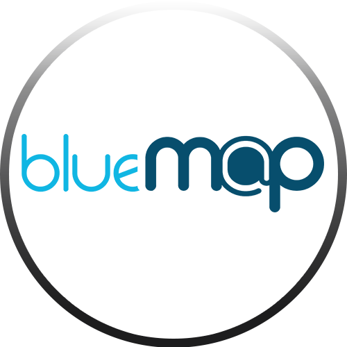 Company Logo For Bluemap IT Solutions'