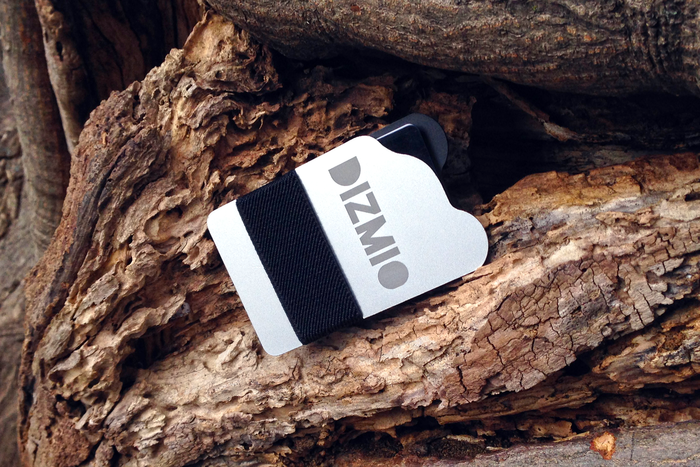 Dizmio Wallet'