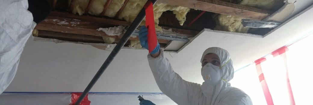 Certified Mold Remediation'