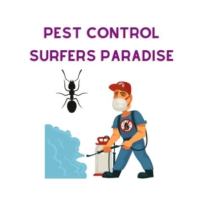 Company Logo For Pest Control Surfers Paradise'