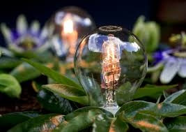 3D Printed Solar Energy Trees'