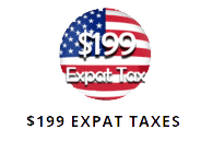 USA Expat Taxes Logo