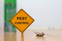 Pest Control Manly QLD Logo