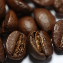 San Diego Coffee Logo