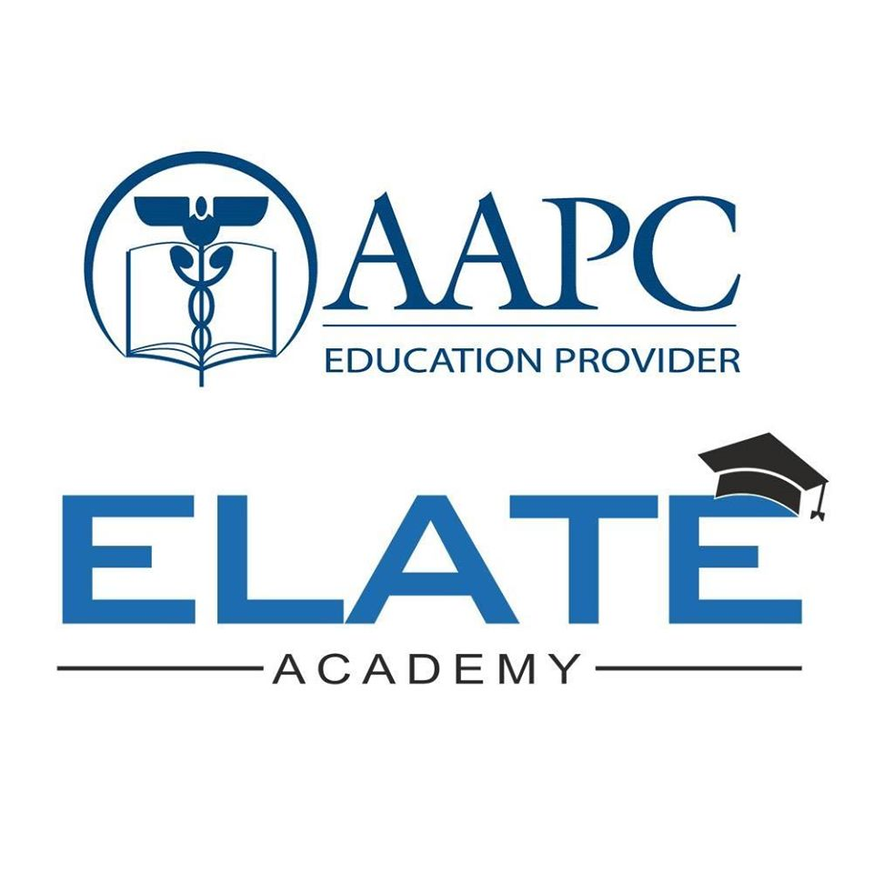 Company Logo For Elate Academy'