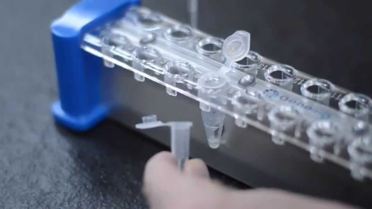 DNA-RNA Extraction Kits Market'