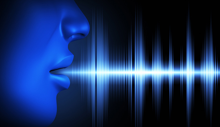 Speech &amp;amp; Voice Recognition'