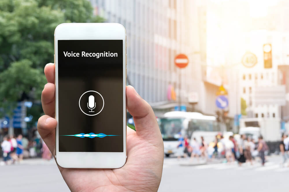 Speech &amp; Voice Recognition Market'