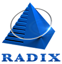 Company Logo For RadixWeb'