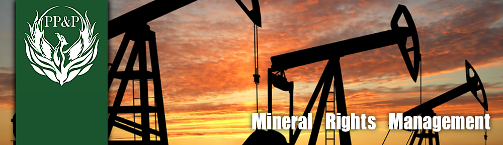 Company Logo For Phoenix Petroleum Partners (PP&P)'