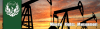 Company Logo For Phoenix Petroleum Partners (PP&P)'