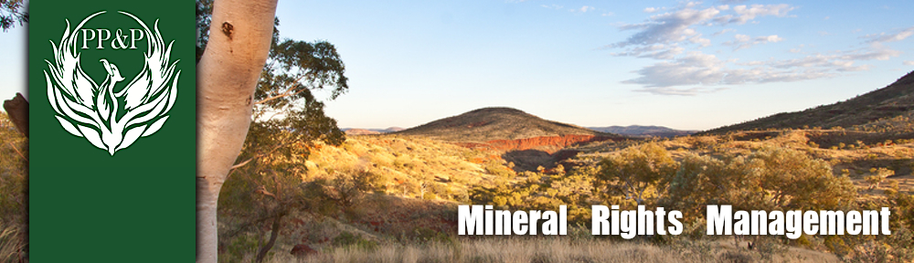 Company Logo For Phoenix Petroleum Partners (PP&P)'